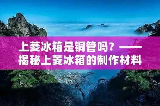 上菱冰箱是铜管吗？——揭秘上菱冰箱的制作材料