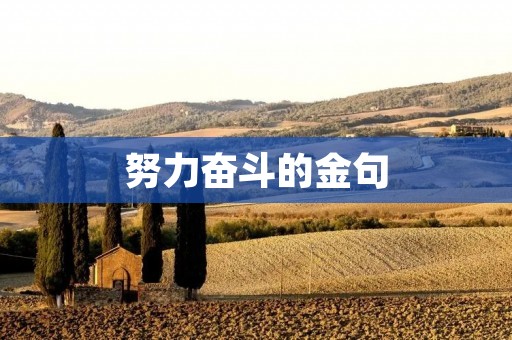 努力奋斗的金句 努力奋斗的金句