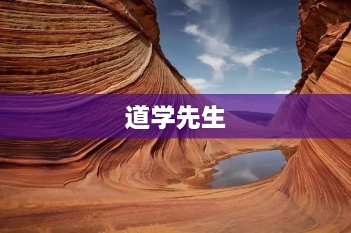 道学先生:中国古代思想家的代表 道学先生:中国古代思想家的代表