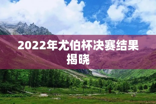 2022年尤伯杯决赛结果揭晓