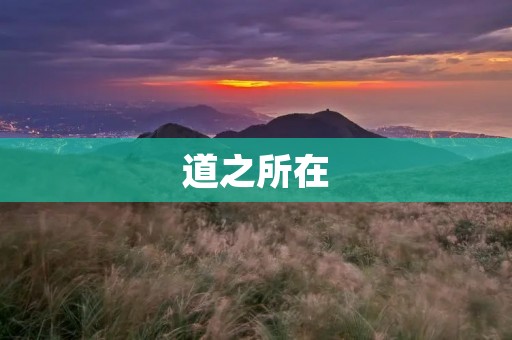 道之所在：探寻人生的意义