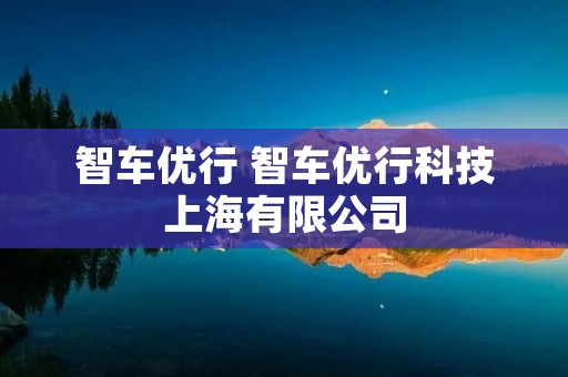 智车优行 智车优行科技上海有限公司
