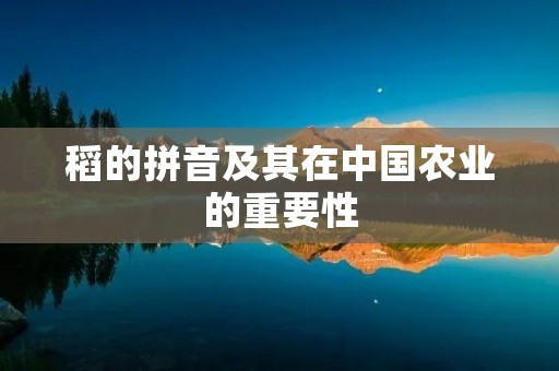 稻的拼音及其在中国农业的重要性 稻的拼音及其在中国农业的重要性