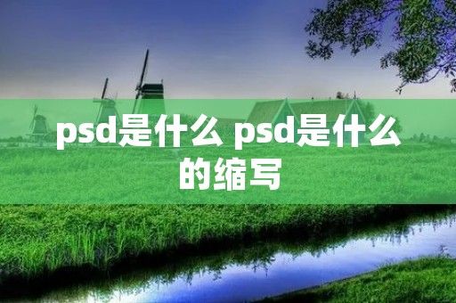 psd是什么 psd是什么的缩写