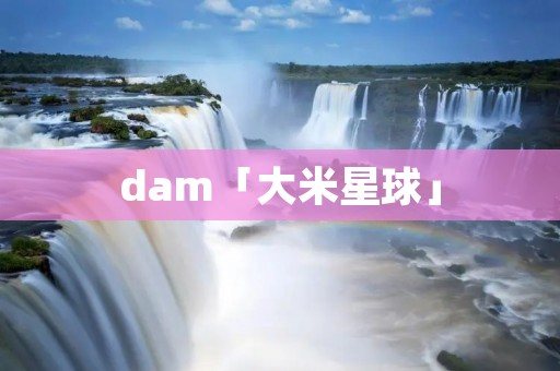 dam「大米星球」 dam「大米星球」