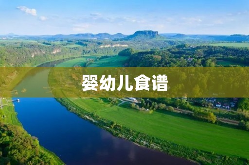 婴幼儿食谱:健康成长必备 婴幼儿食谱:健康成长必备