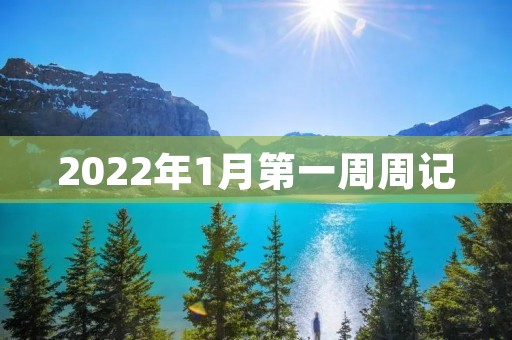 2022年1月第一周周记 2022年1月第一周周记