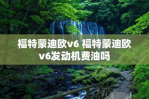 福特蒙迪欧v6 福特蒙迪欧v6发动机费油吗