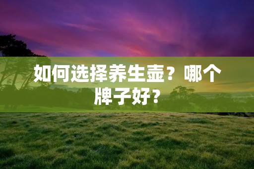 如何选择养生壶?哪个牌子好?