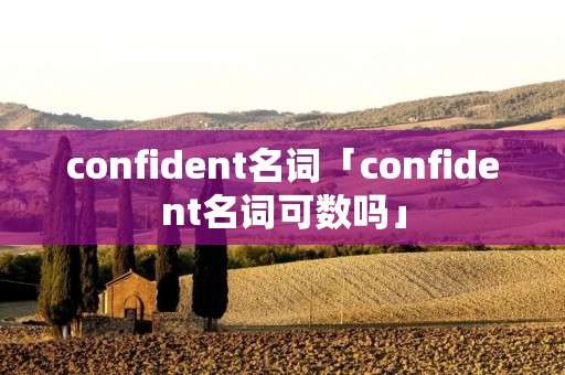 confident名词「confident名词可数吗」