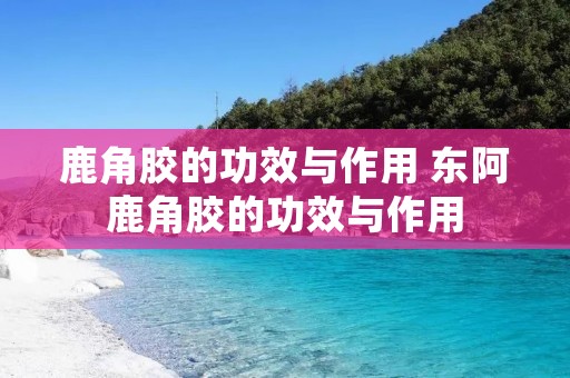 鹿角胶的功效与作用 东阿鹿角胶的功效与作用