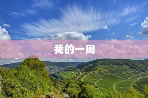 我的一周 我的一周
