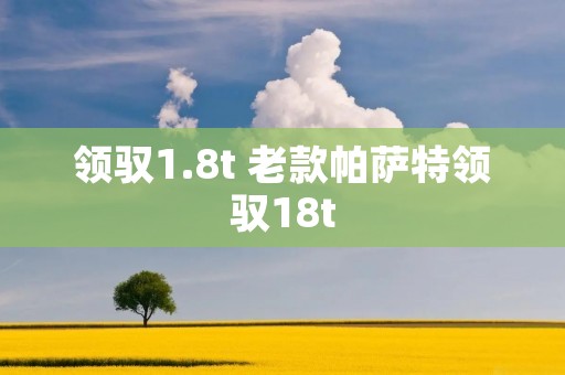 领驭1.8t 老款帕萨特领驭18t 领驭1.8t 老款帕萨特领驭18t