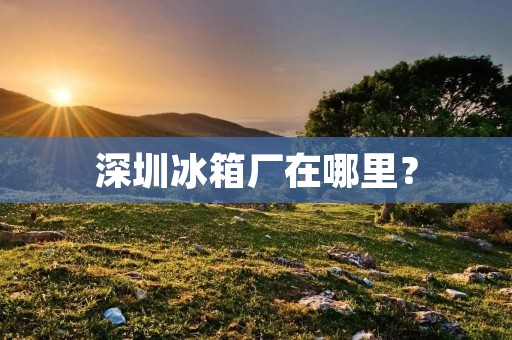 深圳冰箱厂在哪里？