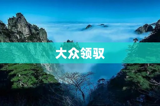 大众领驭:新时代下的智能驾驶体验 大众领驭:新时代下的智能驾驶体验