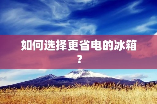 如何选择更省电的冰箱? 如何选择更省电的冰箱?