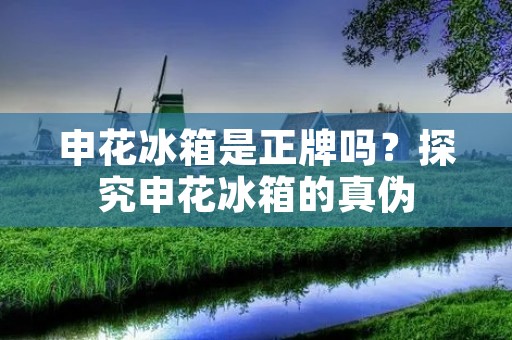 申花冰箱是正牌吗？探究申花冰箱的真伪