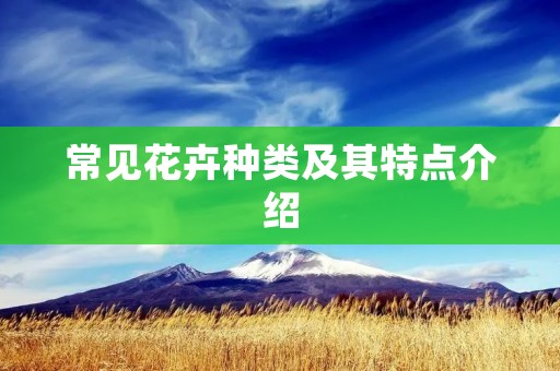 常见花卉种类及其特点介绍