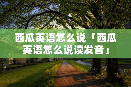 西瓜英语怎么说「西瓜英语怎么说读发音」