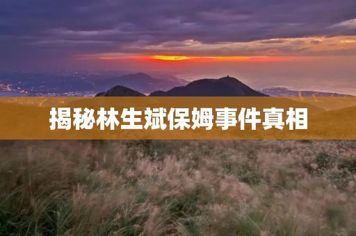 揭秘林生斌保姆事件真相:背后的阴谋与真相