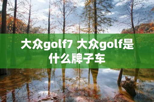 大众golf7 大众golf是什么牌子车