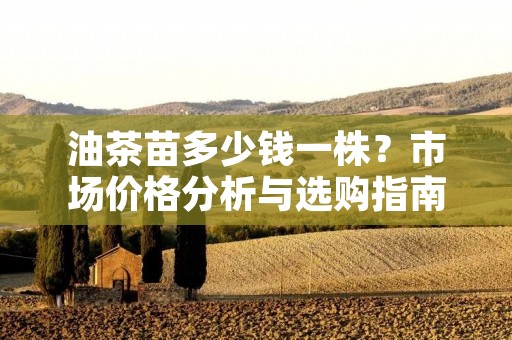 油茶苗多少钱一株?市场价格分析与选购指南