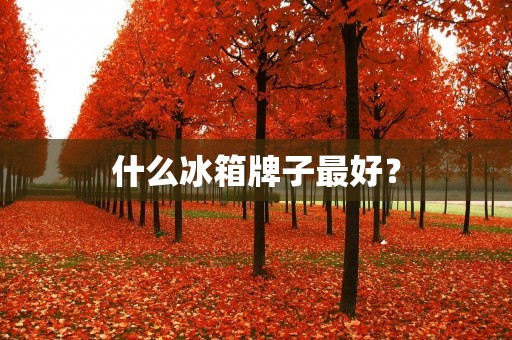什么冰箱牌子最好？