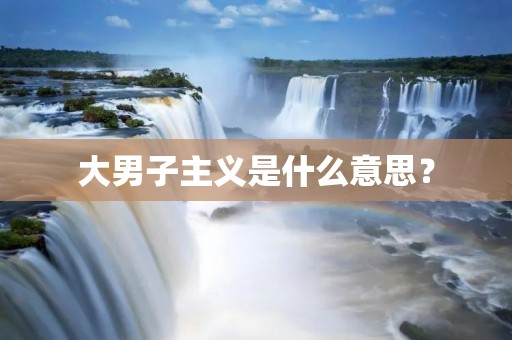 大男子主义是什么意思?