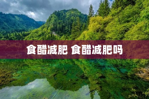 食醋减肥 食醋减肥吗 食醋减肥 食醋减肥吗