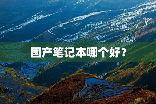 国产笔记本哪个好?