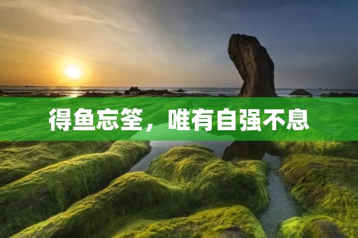 得鱼忘筌，唯有自强不息