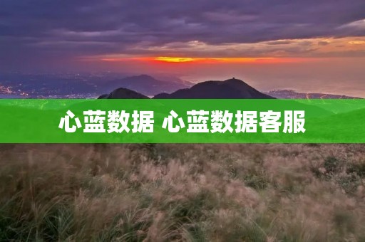 心蓝数据 心蓝数据**