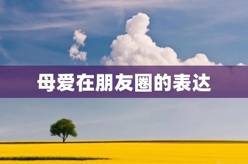 母爱在朋友圈的表达