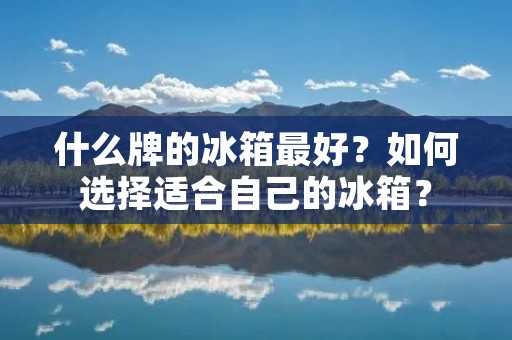 什么牌的冰箱最好?如何选择适合自己的冰箱? 什么牌的冰箱最好?如何选择适合自己的冰箱?
