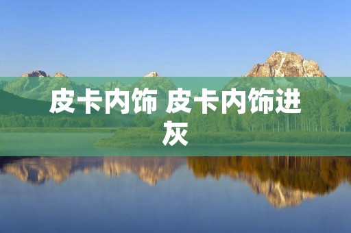 皮卡内饰 皮卡内饰进灰