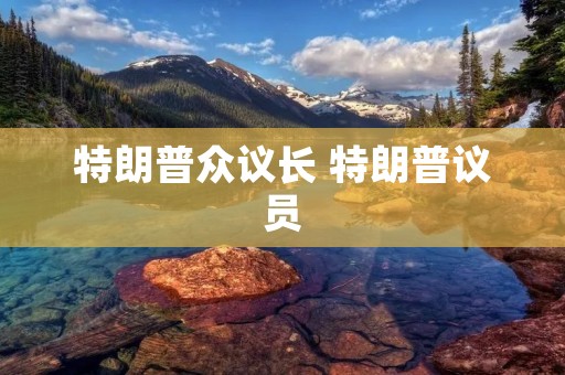 特朗普众议长 特朗普议员