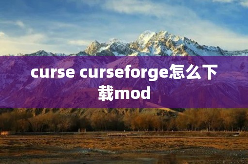 curse curseforge怎么下载mod