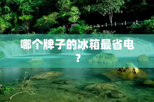 哪个牌子的冰箱最省电? 哪个牌子的冰箱最省电?