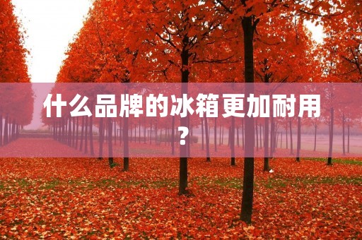 什么品牌的冰箱更加耐用? 什么品牌的冰箱更加耐用?