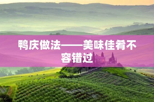 鸭庆做法——美味佳肴不容错过 鸭庆做法——美味佳肴不容错过