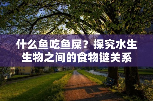什么鱼吃鱼屎?探究水生生物之间的食物链关系