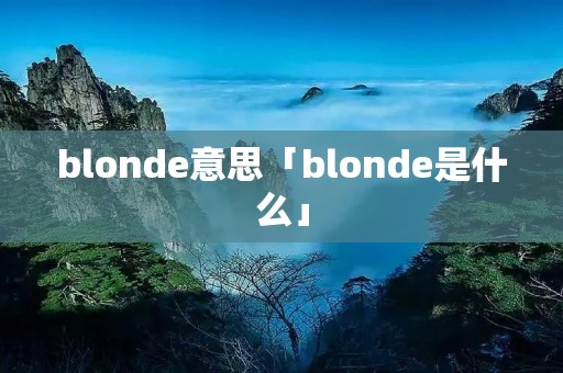 blonde意思「blonde是什么」 blonde意思「blonde是什么」