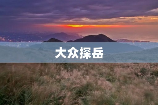 大众探岳:挑战越野极限的SUV 大众探岳:挑战越野极限的SUV
