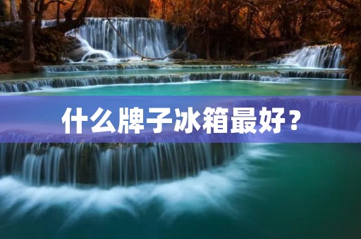 什么牌子冰箱最好？