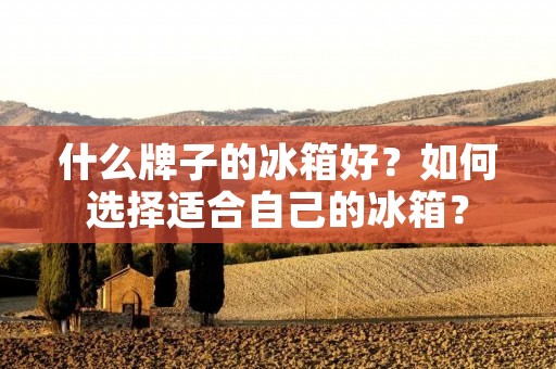 什么牌子的冰箱好？如何选择适合自己的冰箱？