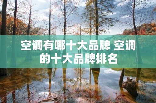 空调有哪十大品牌 空调的十大品牌排名