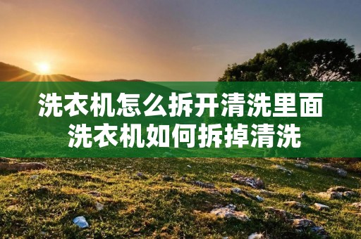 洗衣机怎么拆开清洗里面 洗衣机如何拆掉清洗