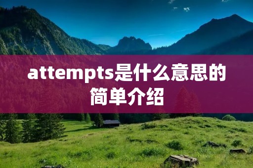attempts是什么意思的简单介绍