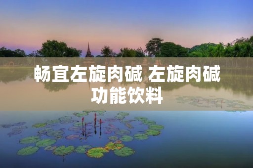 畅宜左旋肉碱 左旋肉碱功能饮料