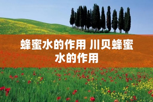 蜂蜜水的作用 川贝蜂蜜水的作用